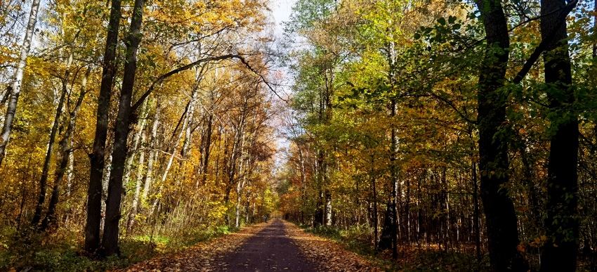 Осень Паустовского